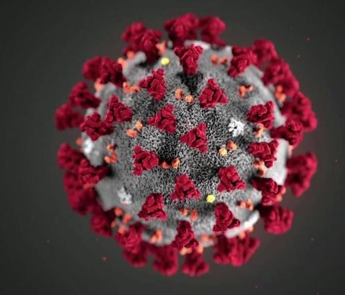 Virus with red and orange sprouts on a grey background