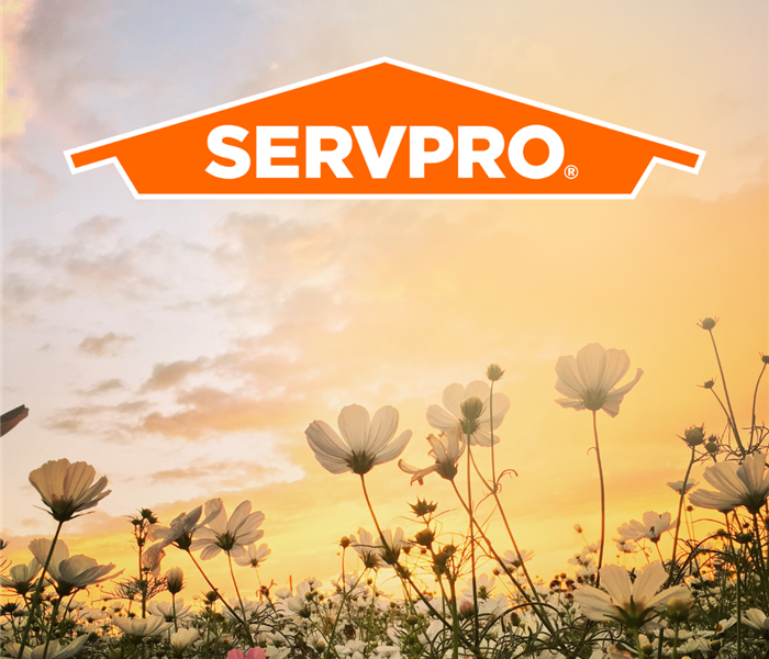 An image of spring flowers and sunshine with a SERVPRO logo