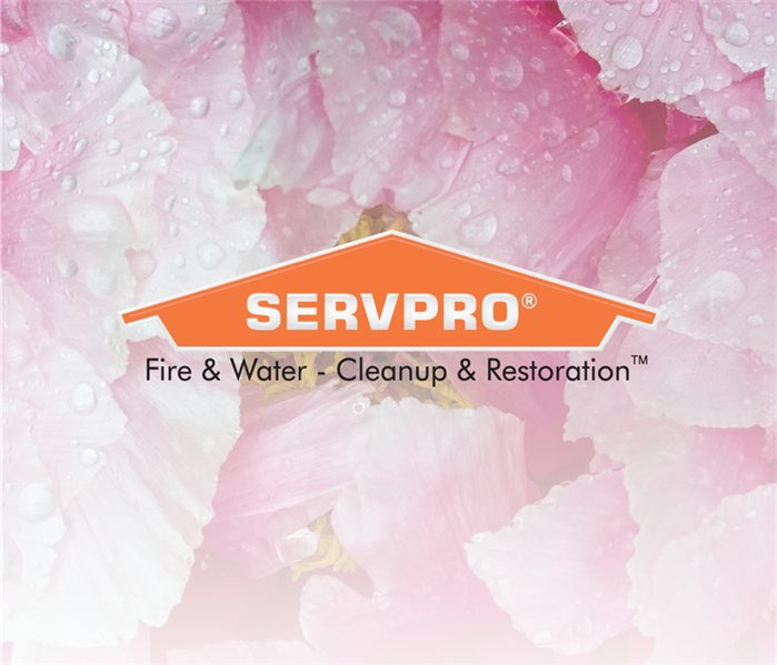 PINK FLOWER WITH RAIN ON IT WITH THE SERVPRO LOGO OVER TOP
